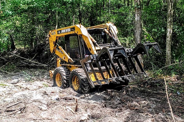Tree Removal