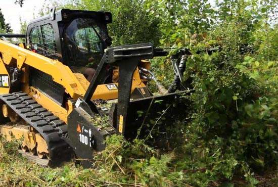 Brush Removal Services