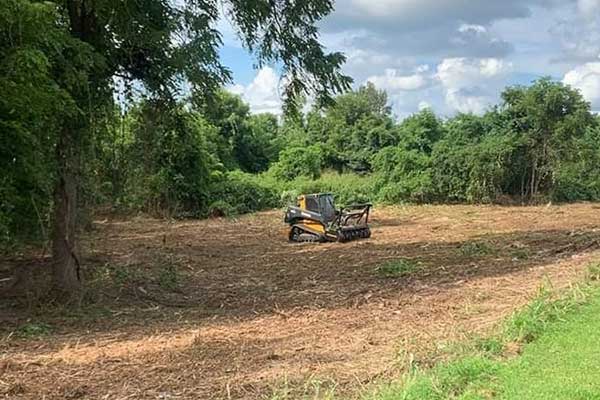 Forestry Mulching