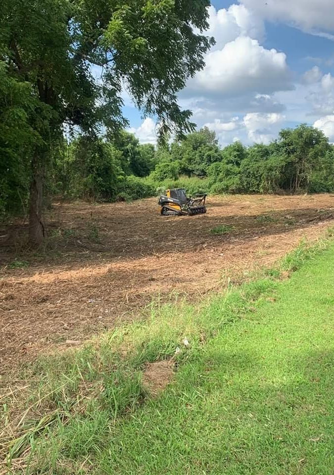 Forestry Mulching