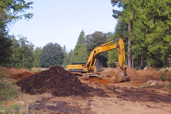 Site Services